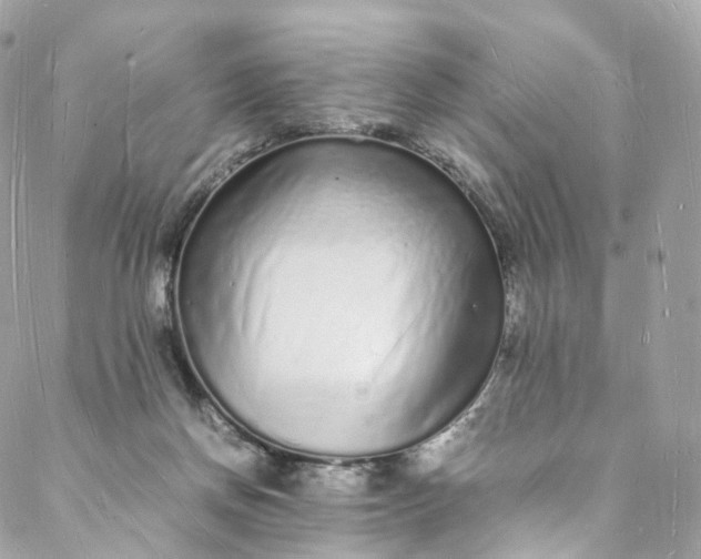 X0000088070166200705251411