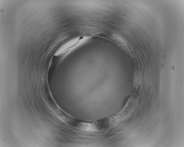 X0000088070167200705251411