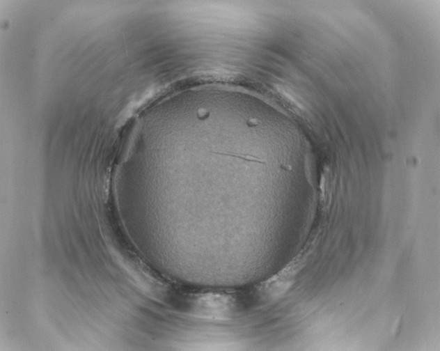 X0000088070168200705251411