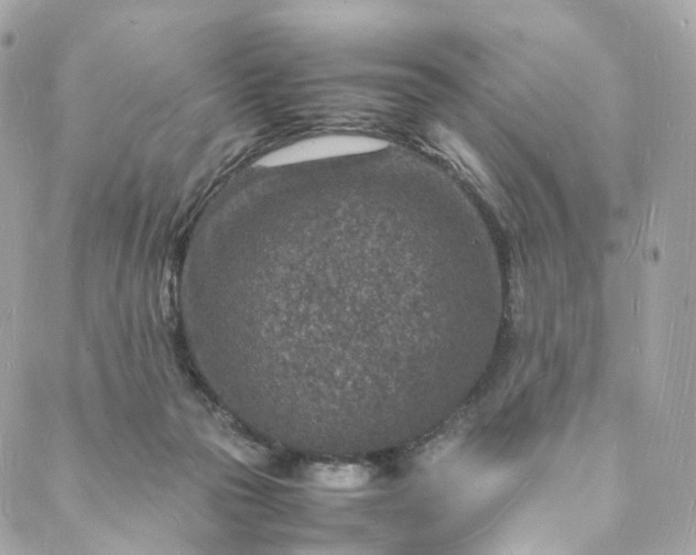 X0000088070169200705251411