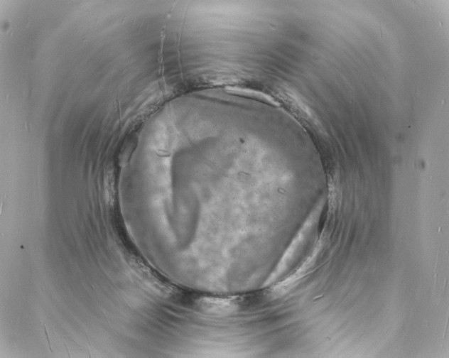 X0000088070170200705251411