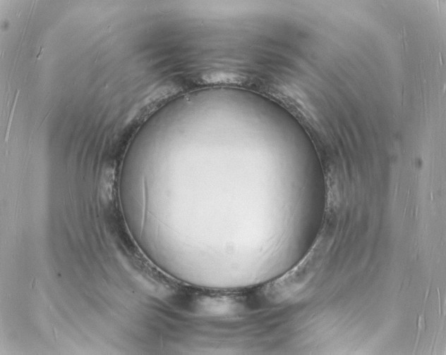 X0000088070171200705251411