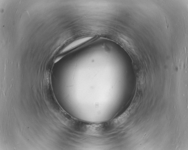 X0000088070172200705251411