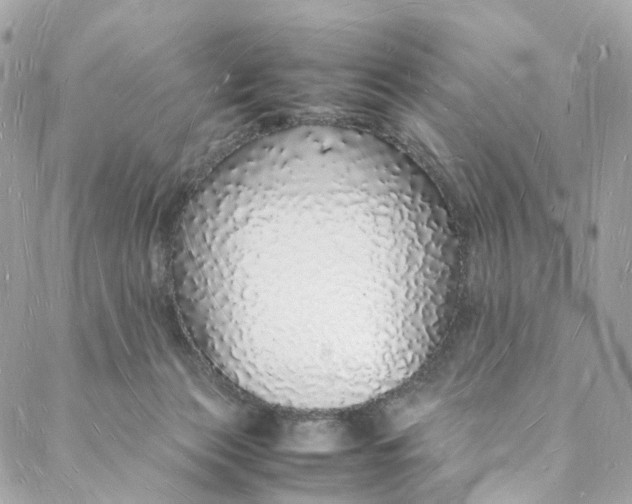 X0000088070173200705251411