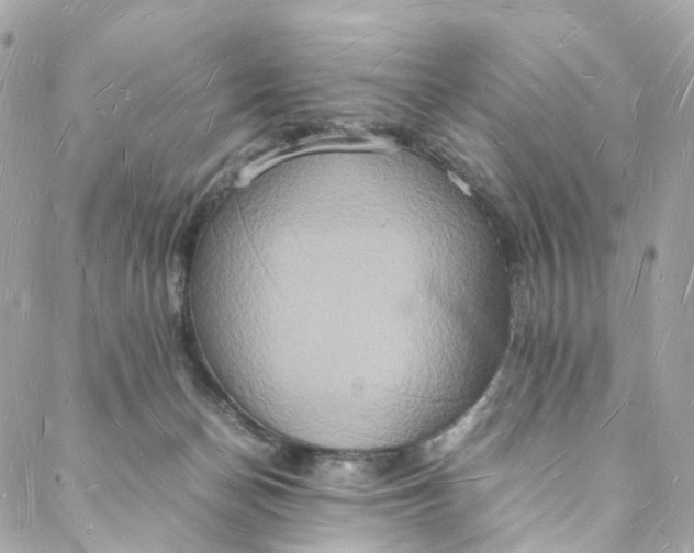 X0000088070174200705251411