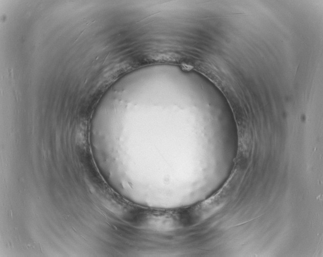 X0000088070175200705251411