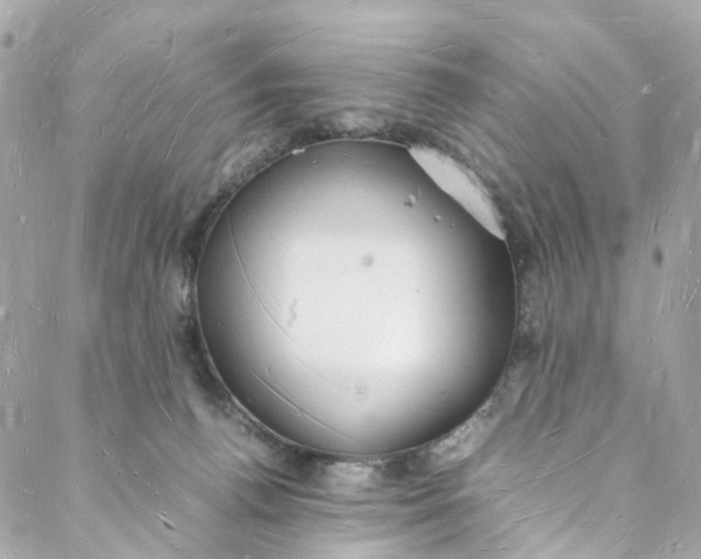 X0000088070176200705251411