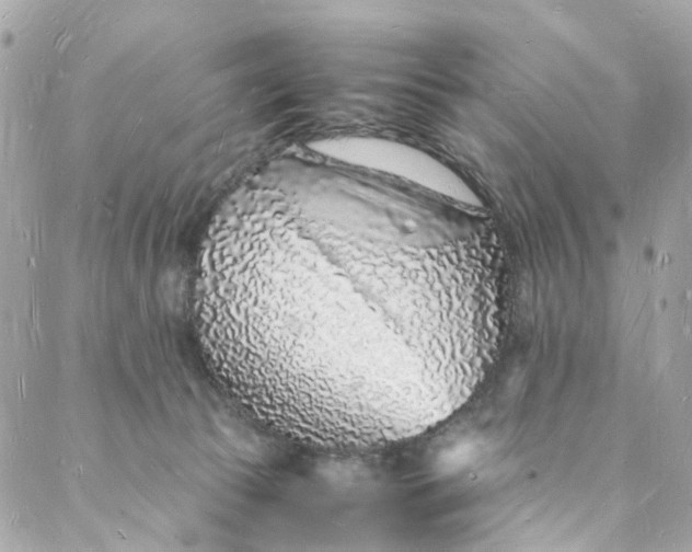 X0000088070177200705251411