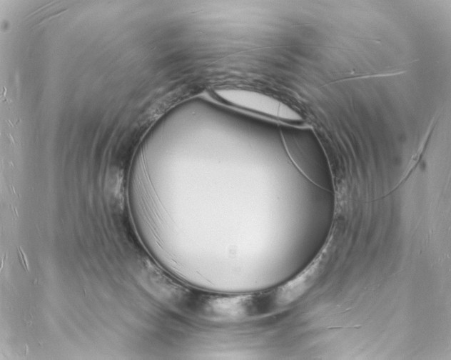 X0000088070178200705251411