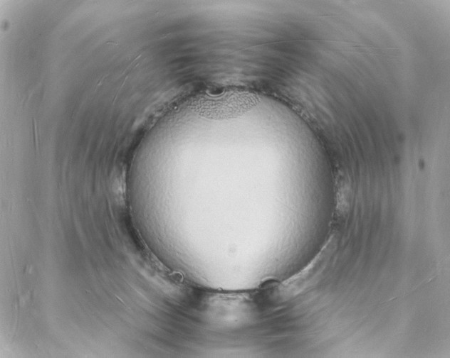 X0000088070179200705251411