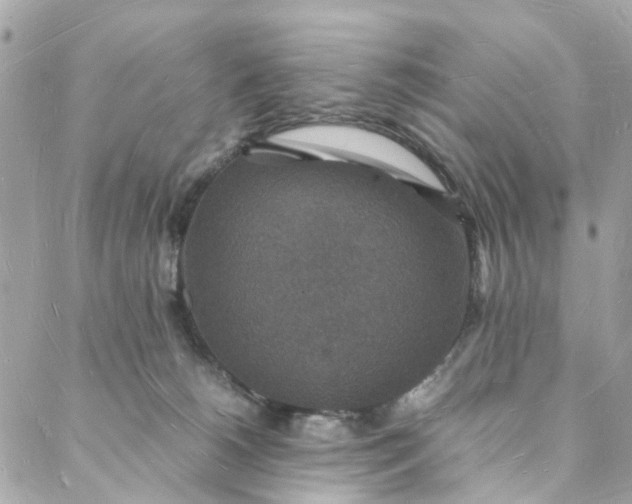 X0000088070180200705251411