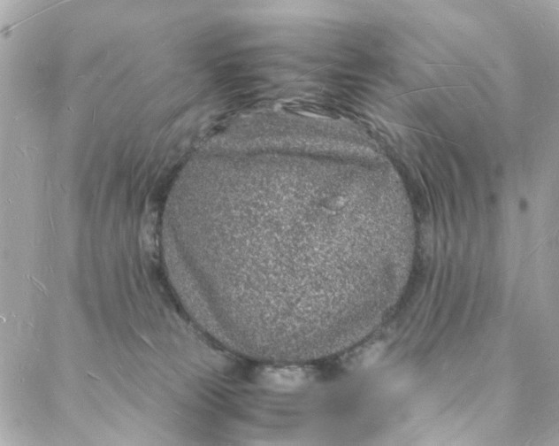 X0000088070181200705251411