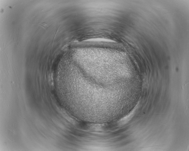 X0000088070182200705251411