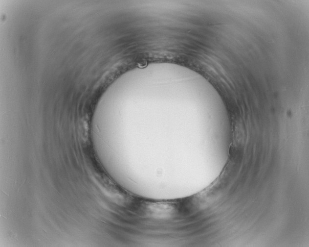 X0000088070183200705251411