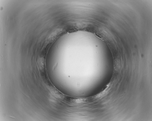 X0000088070184200705251411