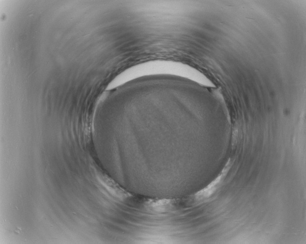 X0000088070186200705251411