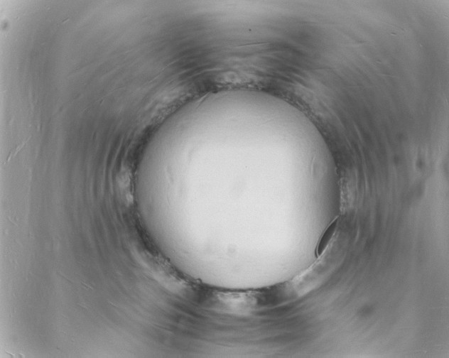 X0000088070187200705251411