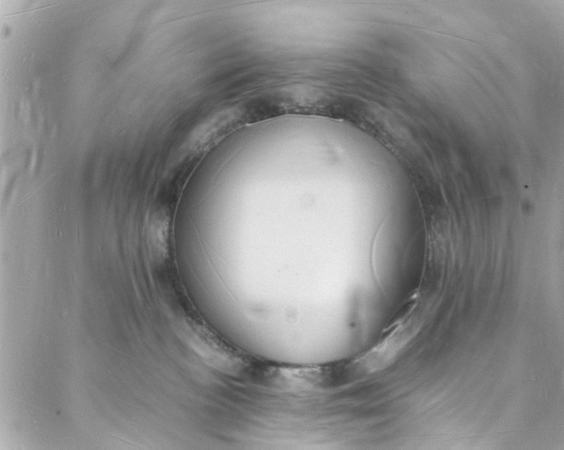 X0000088070188200705251411