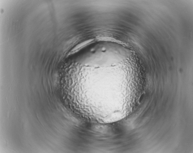 X0000088070189200705251411