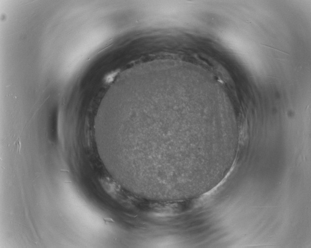 X0000088070191200705251411