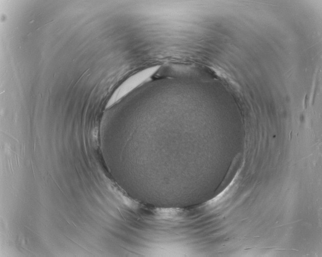 X0000088070192200705251411