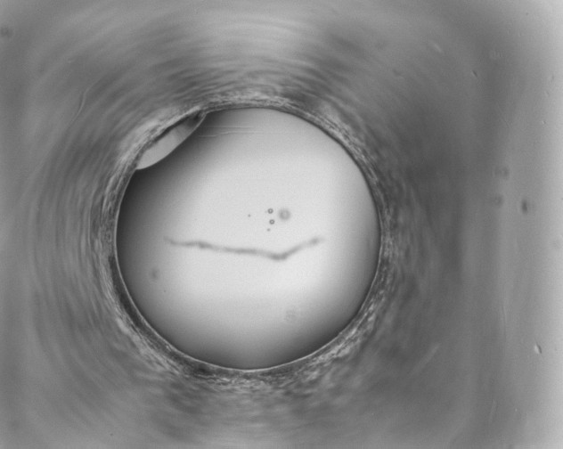 X0000088070193200705251411