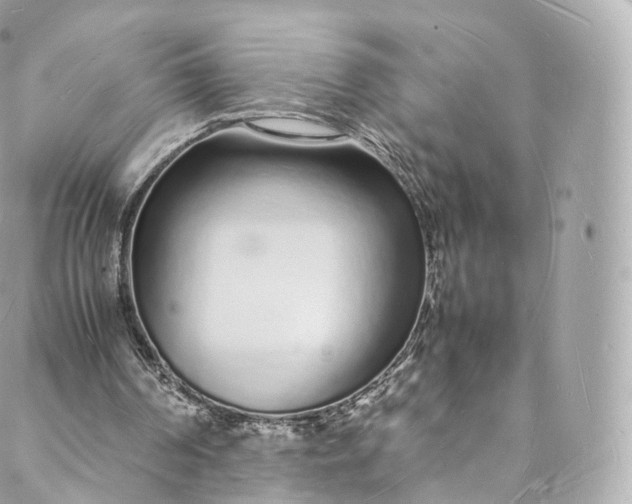 X0000088070194200705251411