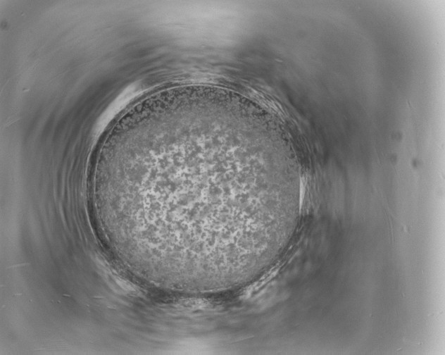 X0000088070195200705251411