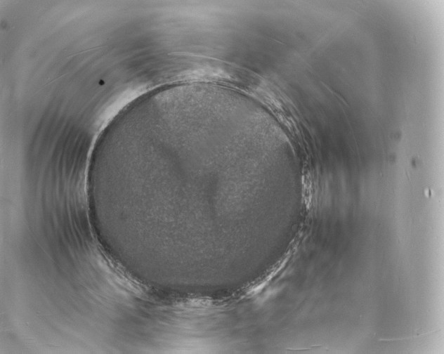 X0000088070196200705251411