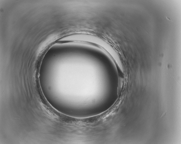 X0000088070197200705251411