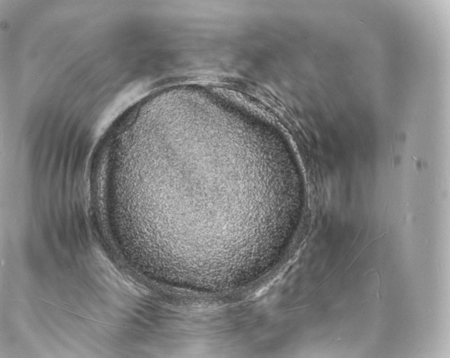 X0000088070198200705251410