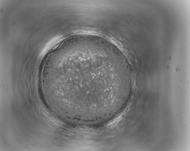 X0000088070199200705251410