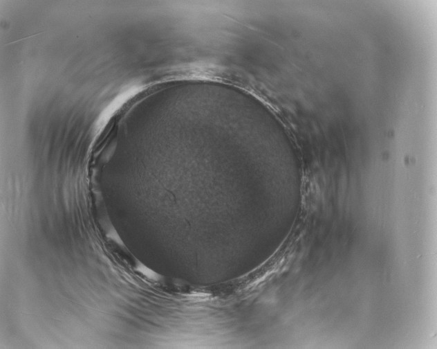 X0000088070200200705251410