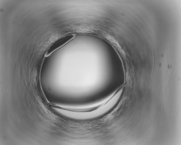 X0000088070201200705251410