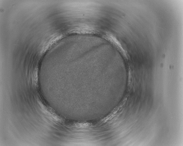 X0000088070202200705251410