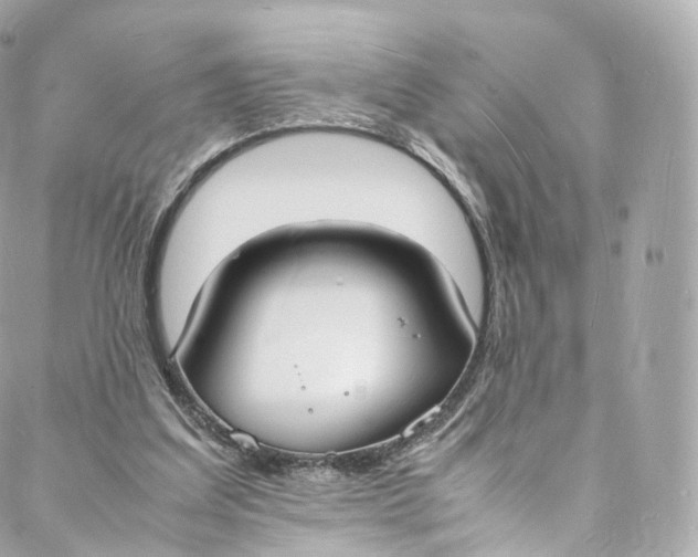 X0000088070203200705251410