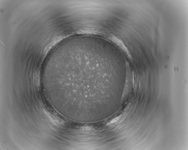 X0000088070204200705251410