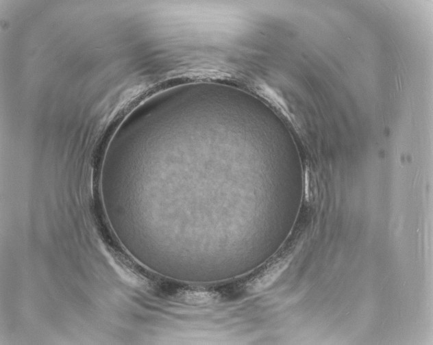 X0000088070205200705251410