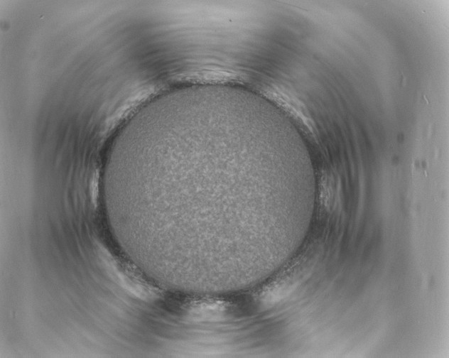 X0000088070206200705251410