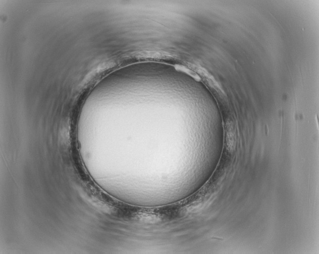 X0000088070207200705251410