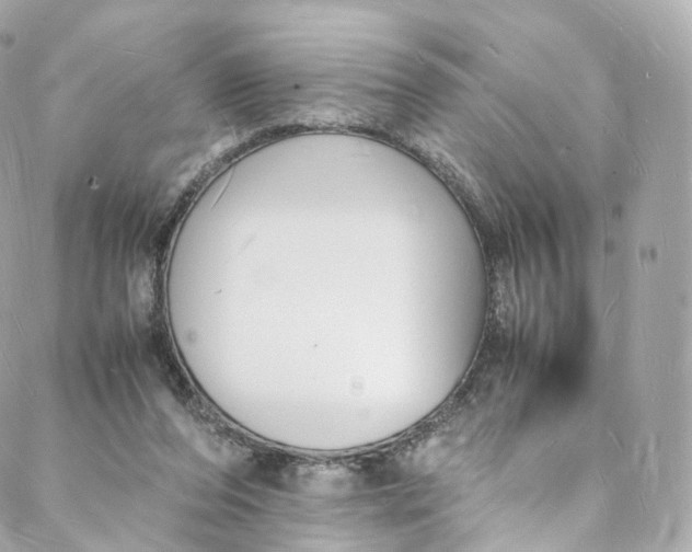 X0000088070208200705251410