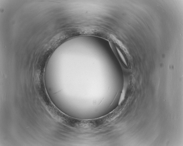 X0000088070209200705251410