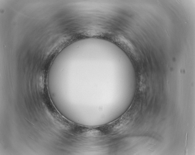 X0000088070210200705251410