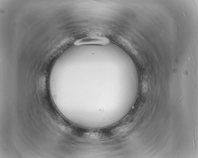 X0000088070211200705251410