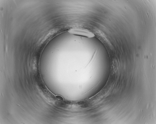 X0000088070212200705251410