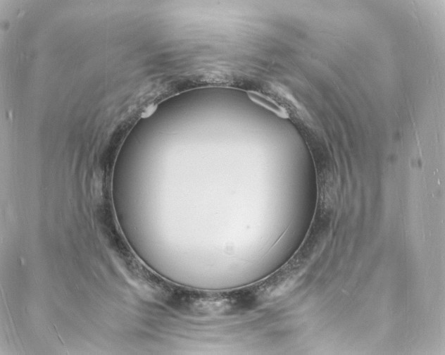 X0000088070213200705251410