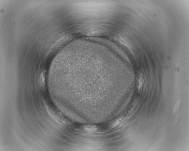 X0000088070214200705251410