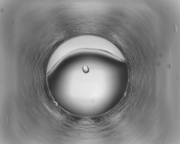 X0000088070215200705251410