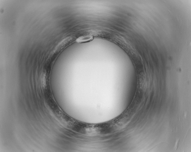 X0000088070216200705251410