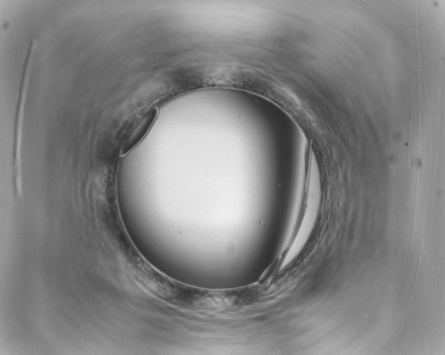 X0000088070217200705251410